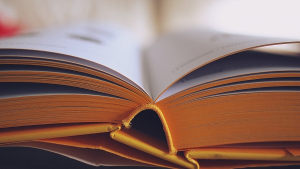 Educazione alla Cittadinanza Globale: dai problemi della scuola alla formazione dei giovani